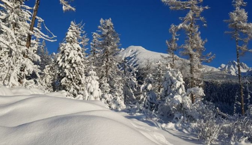 Hotel CROCUS **** Vysoké Tatry